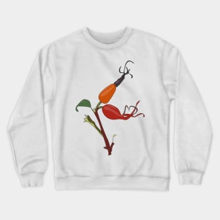 Rose hips on a branch with a green leaf Crewneck Sweatshirt